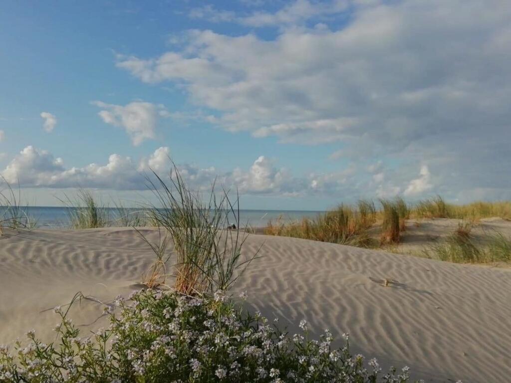 Superbe Apt Cosy, 50M De La Plage, 4 Pers, Vue Cote Mer Fort-Mahon-Plage Exterior photo